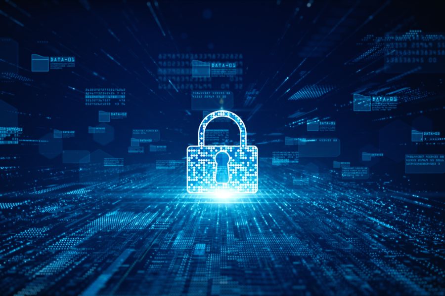 Cyber Essentials for Small Businesses: What Teams Need to Know